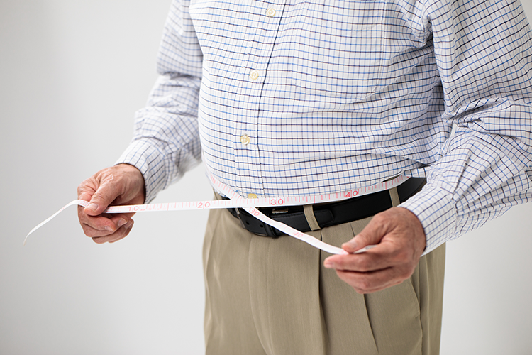 肥満が引き起こす病気のリスクを徹底解説。内臓脂肪型肥満に注意しよう｜大正製薬