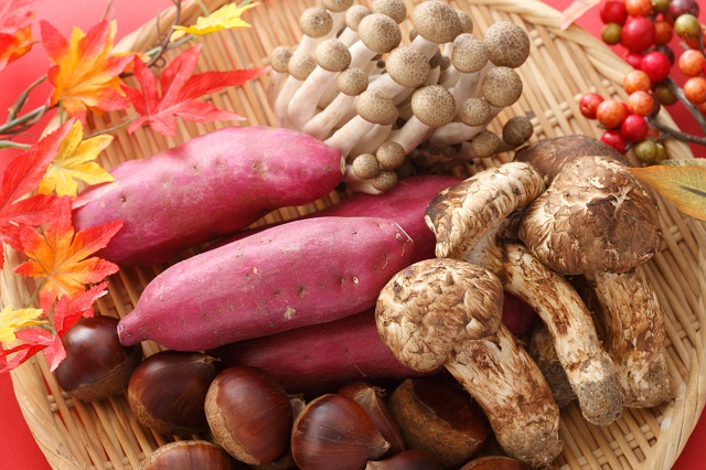 秋の旬の食べ物は栄養満点！キノコやサツマイモの疲労回復レシピ｜疲れに効くコラム｜大正製薬