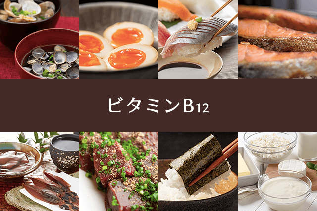 ビタミンB12とは？その働きと多く含まれる食材｜疲れに効くコラム｜大正製薬
